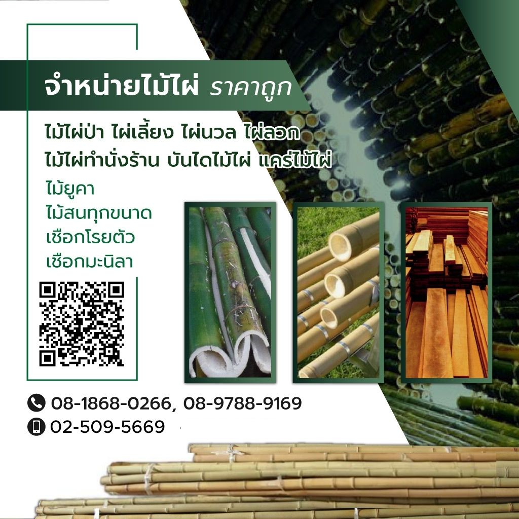 จำหน่ายไม้ไผ่นั้งร้านราคาถูก (2)